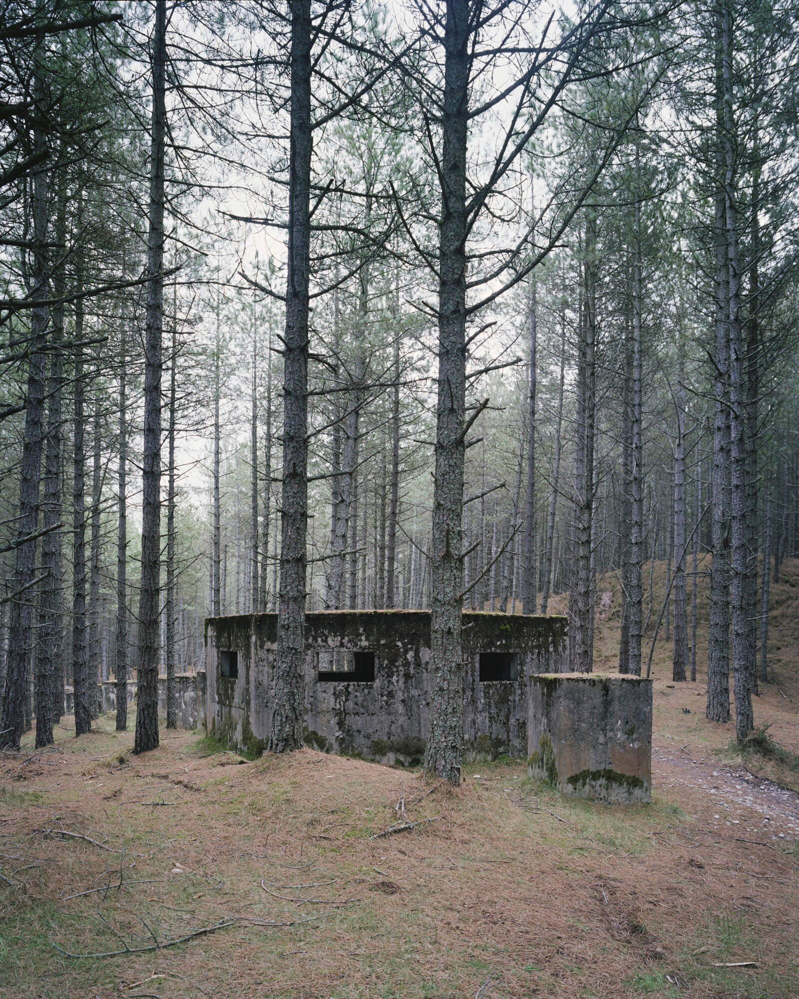 Lossiemouth, Moray, Scotland. 2011 Marc Wilson The Last Stand the south west collective of photography