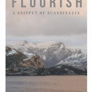 Magazine Flourish - Volume 3 - A Snippet of Scandinavia the south west collective of photography ltd