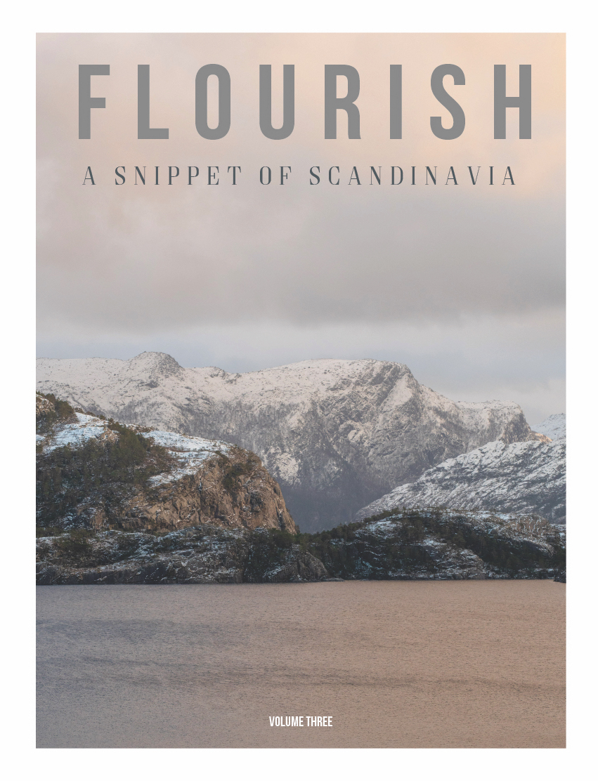 Magazine Flourish - Volume 3 - A Snippet of Scandinavia the south west collective of photography ltd
