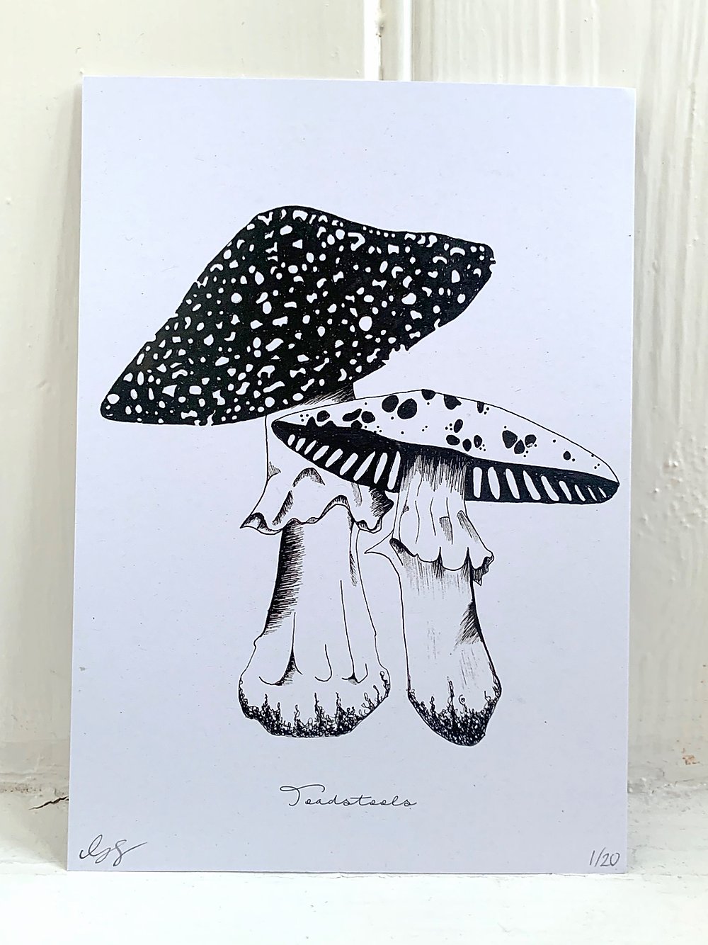 Lucy Saunders Collection: Complete Black & White Flora Art Prints - 4 X A5