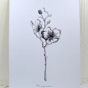 Lucy Saunders Collection: Complete Black & White Flora Art Prints - 4 X A5
