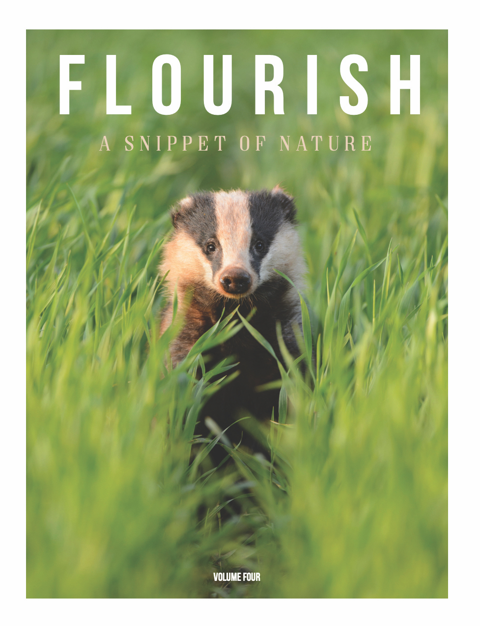 Magazine Flourish - Volume 4 - A Snippet of Nature